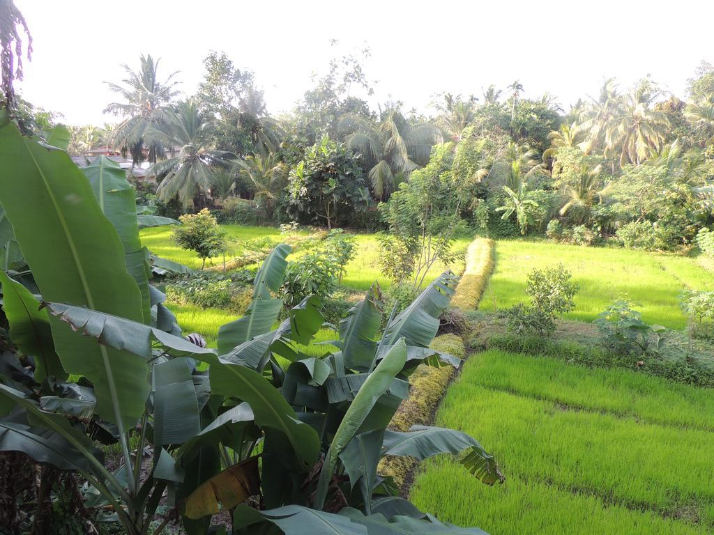 Arana Bungalow กอลล์ ภายนอก รูปภาพ
